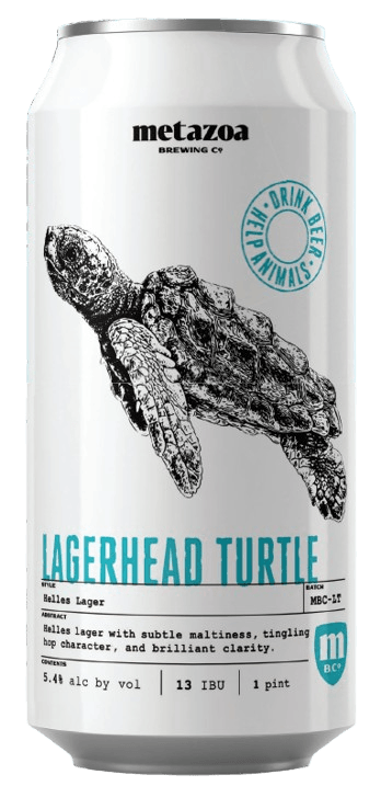 Metazoa Lagerhead Turtle 4CN [SINGLE]