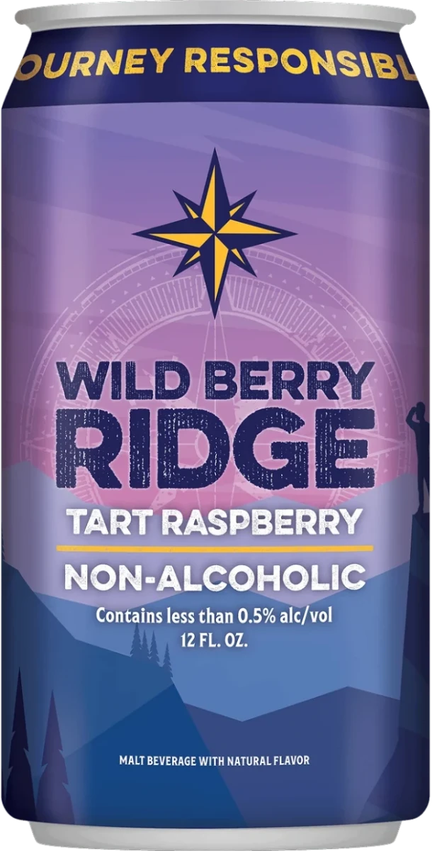 Excursion Brewing Wild Berry Ridge Non-Alcoholic 6CN