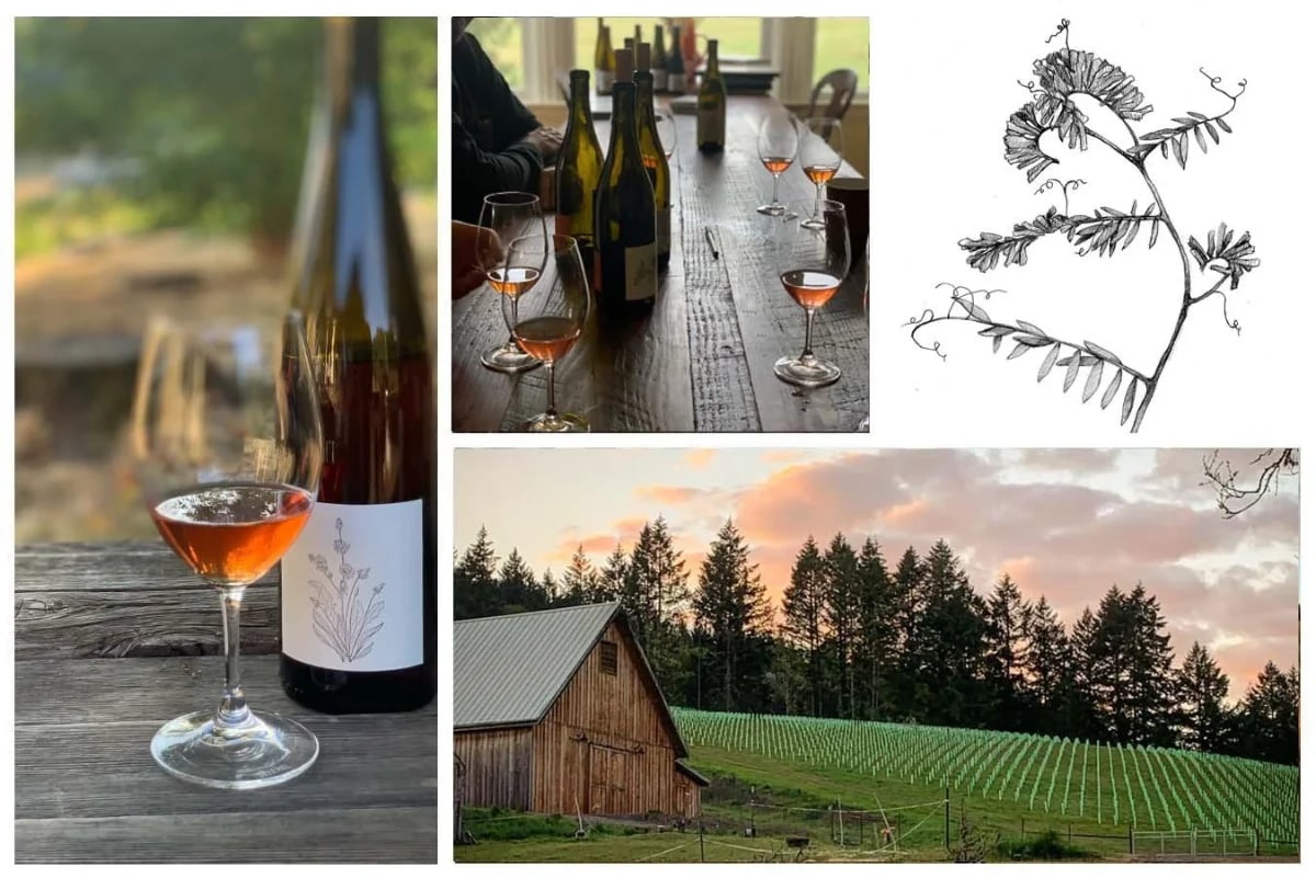 Big Table Farm Pinot Gris 2025 750ML