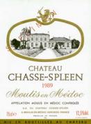 Chteau Chasse-Spleen - Moulis en Medoc 2020 (750ml)